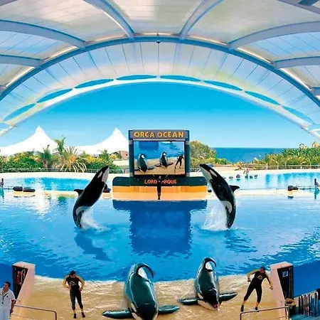 Golf Del Sur Albatros Park Piscina Climatizada Fast Wifi Apartment